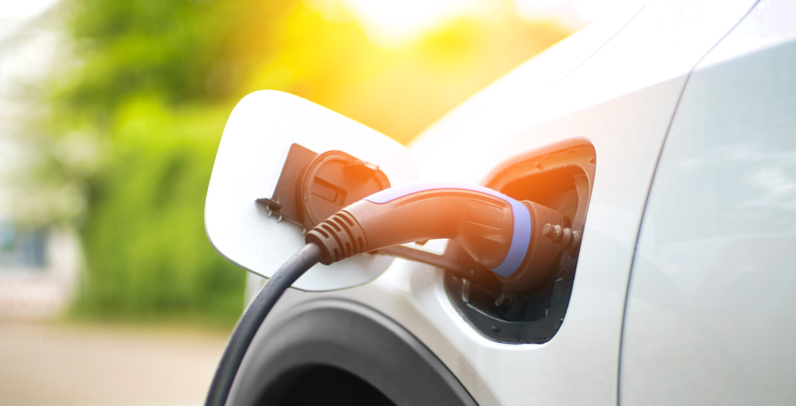 Federal Court Sides Initially with Maintaining Michigan EV Development Agreement.